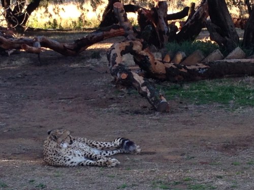 heru-photo-iphone-7437