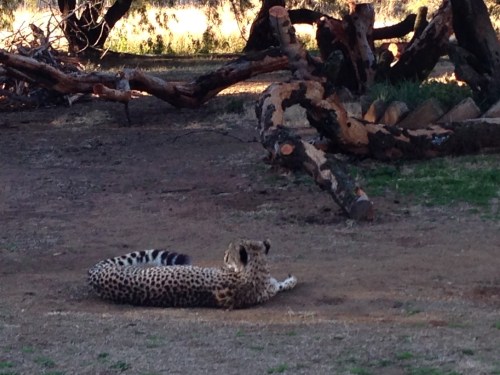 heru-photo-iphone-7444