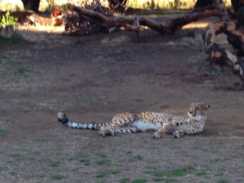 heru-photo-iphone-7445