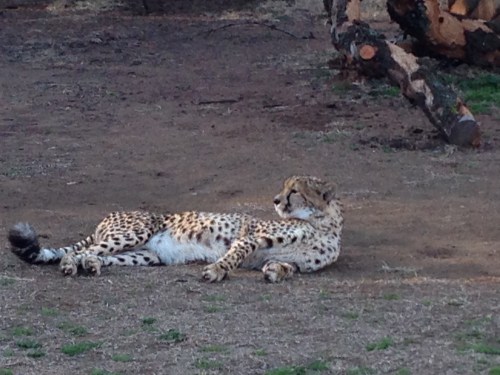 heru-photo-iphone-7448