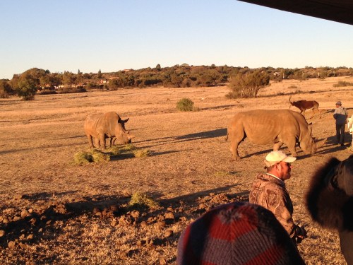 heru-photo-iphone-7467