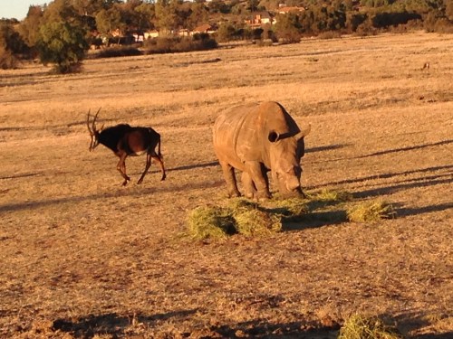 heru-photo-iphone-7468