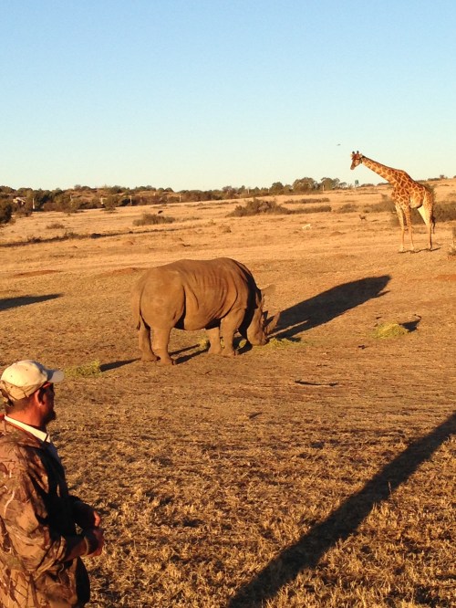 heru-photo-iphone-7470