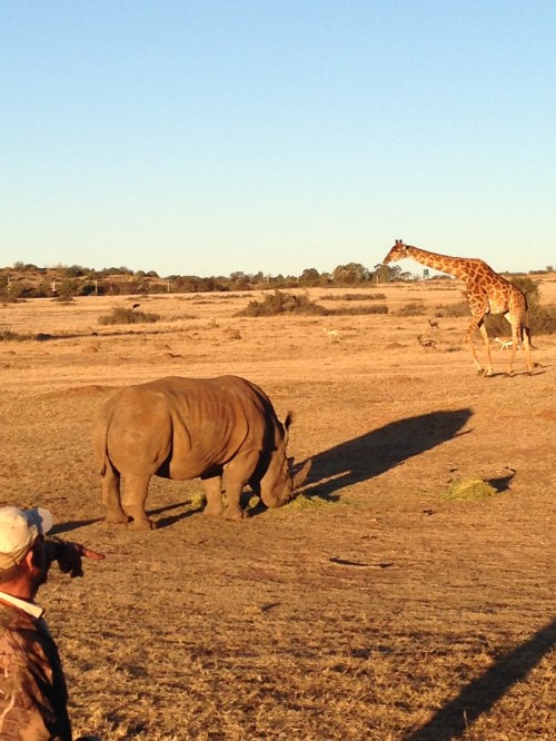 heru-photo-iphone-7471