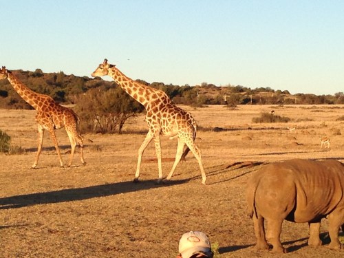 heru-photo-iphone-7476