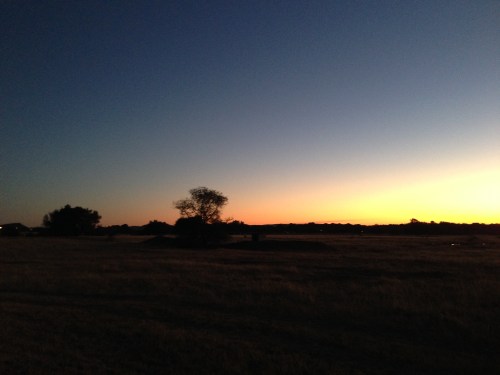 heru-photo-iphone-7502